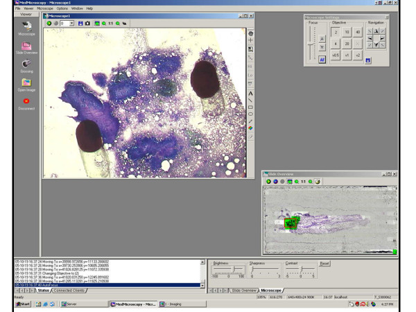 Pre-screened Region. Figure 2 shows further magnification of the initial whole slide scan at a pre-screened location marked with two black ink dots