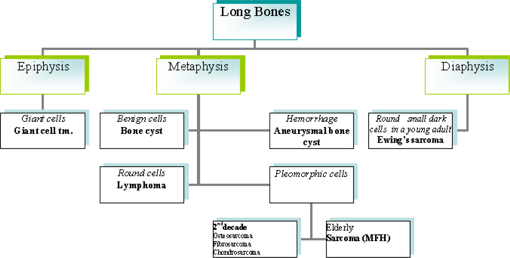 A diagnostic algorithm for FNAB diagnosis of long bone lesions spine in Fig. 2 and skull in Fig. 3.