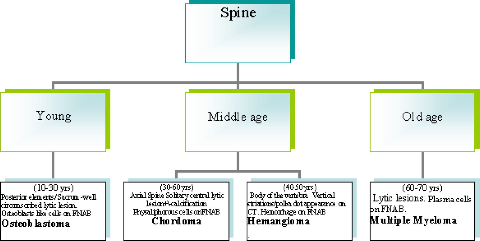 A diagnostic algorithm for FNAB diagnosis of long bone lesions spine in Fig. 2