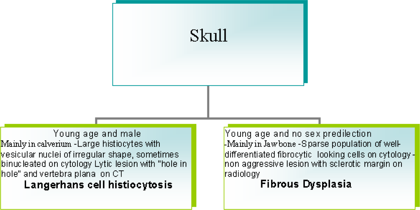 A diagnostic algorithm for FNAB diagnosis of long bone lesions skull.