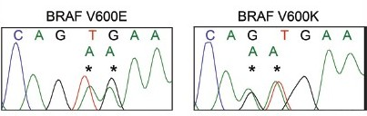 BRAF mutations detected in cellular material obtained from cytological direct smears