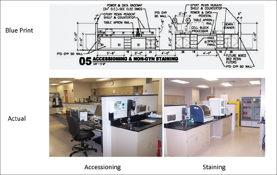 Accessioning, staining, flammable cabinet, and refrigerated storage