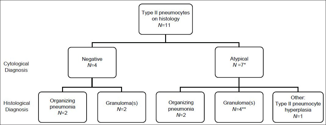 Cases with type II pneumocytes and histological follow-up. Second tier is cytological diagnosis. Third tier is histological diagnosis. *One case diagnosed as “atypical cannot exclude neoplasm.” **One case diagnosed as having extensive necrosis and inflammation associated with acid-fast bacilli. All cases were comprised of fine needle aspiration (FNA) with concurrent core biopsy and touch preparation (TP) or only core biopsy with TP, except the one case diagnosed as “atypical cannot exclude neoplasm,” which had a FNA followed by a wedge resection 3 weeks later that showed organizing pneumonia