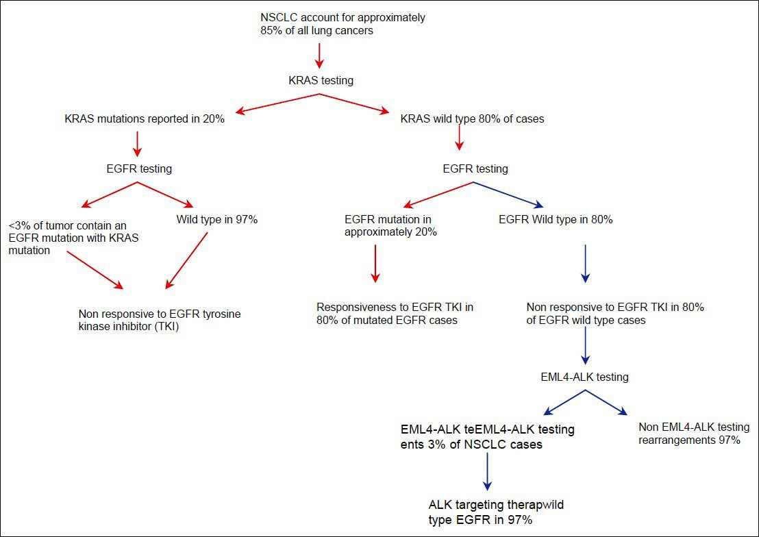 Algorithmic approach to testing of cytology specimens in non-small cell lung cancer