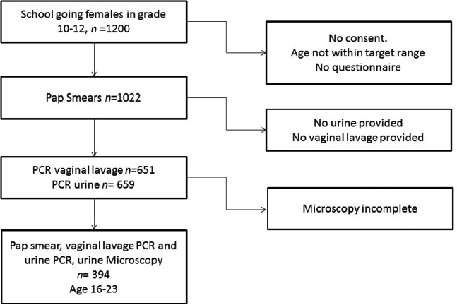 Flowchart of the study participation