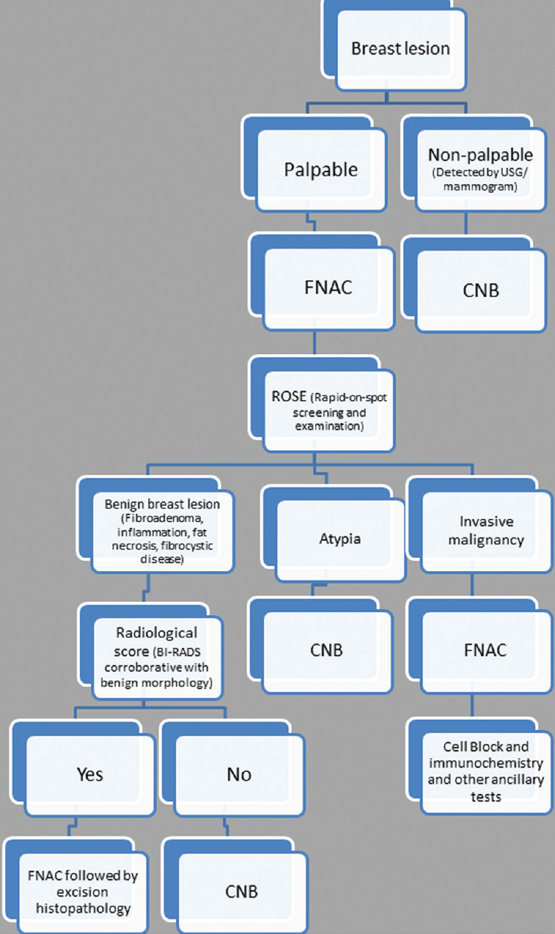 Algorithmic approach of breast lesion by fine-needle aspiration cytology and core needle biopsy