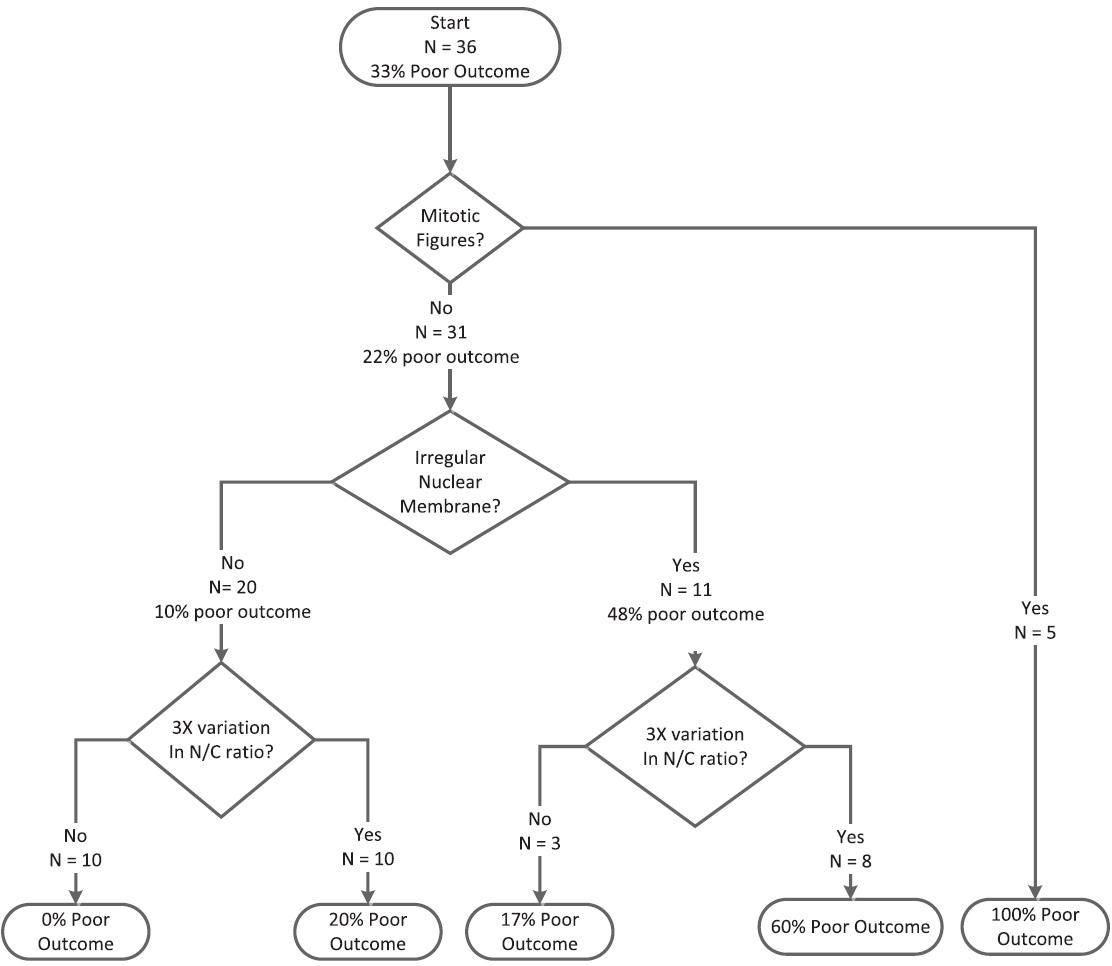 Classification and Regression Tree for Morphological Features. The tree splits the cases based on the features with the highest discriminatory power (mitotic figures). Then for each branch, the feature with the highest discriminatory power is selected