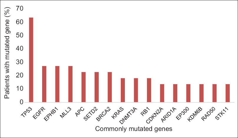 Most common genes containing alterations by next-generation sequencing. Mutations in these 16 genes represent 75 (37%) of the total alterations found. Percentage of patients with each mutated gene represented on the y-axis