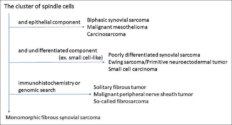 The algorithmic approach of cytological feature