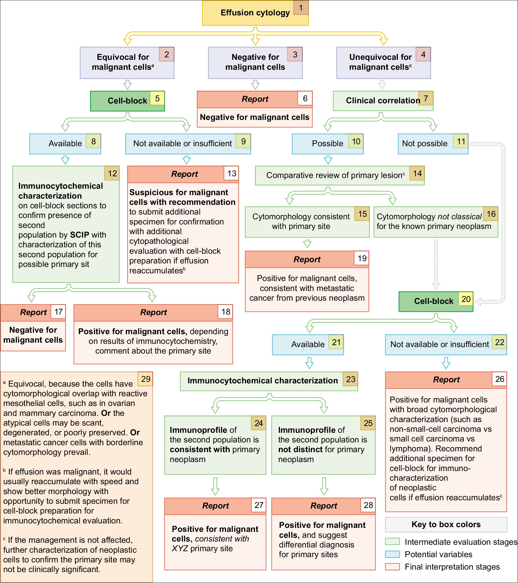 Approach to Diagnostic Cytopathology of Serous Effusions - CytoJournal