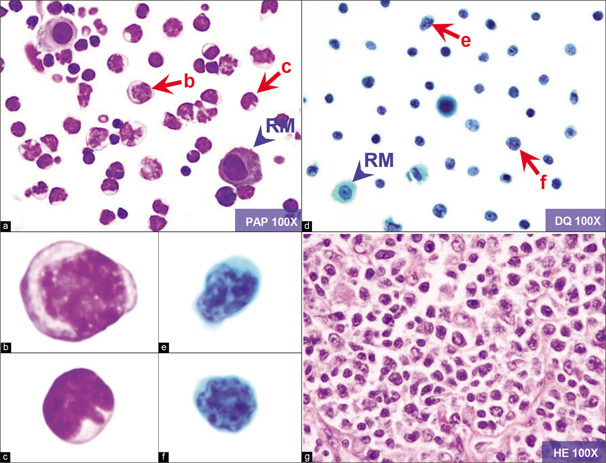 Fisherbrand SlideRite Cytology Fixative 2 oz.:Histology and Cytology,  Quantity