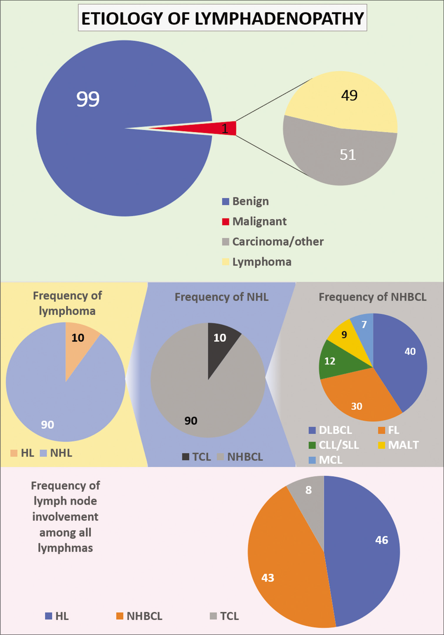 The most common causes of lymphadenopathy, depending on the patient population. Only a small subset of cases turns out to be lymphoma (Hodgkin lymphoma (HL), non-HL, non-Hodgkin B-cell lymphoma, T-cell lymphomas, Follicular lymphoma, Mantle cell lymphoma).