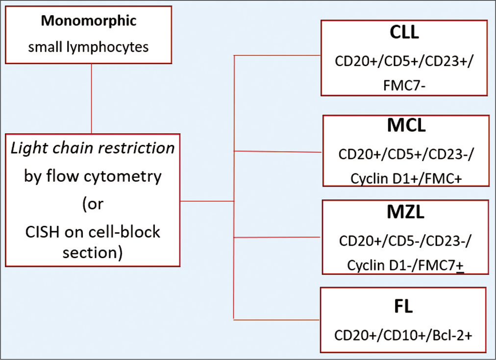 The immunoprofiles of monomorphic lymphoid proliferations based on IHC on CB (CLL, Chronic lymphocytic leukemia; MCL, Mantle cell lymphoma; MZL, Marginal zone lymphoma; FL, follicular lymphoma).