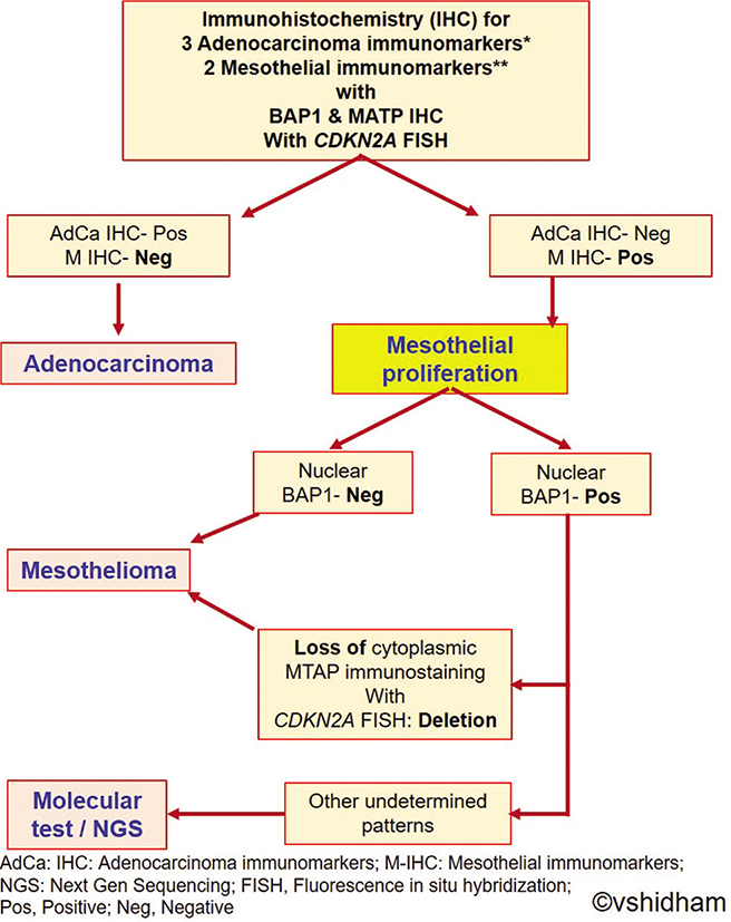 Algorithmic approach for diagnostic work-up for evaluation of mesothelial proliferations. (Reproduced from Open Access publication: CytoJournal 2022;19:3).[30]