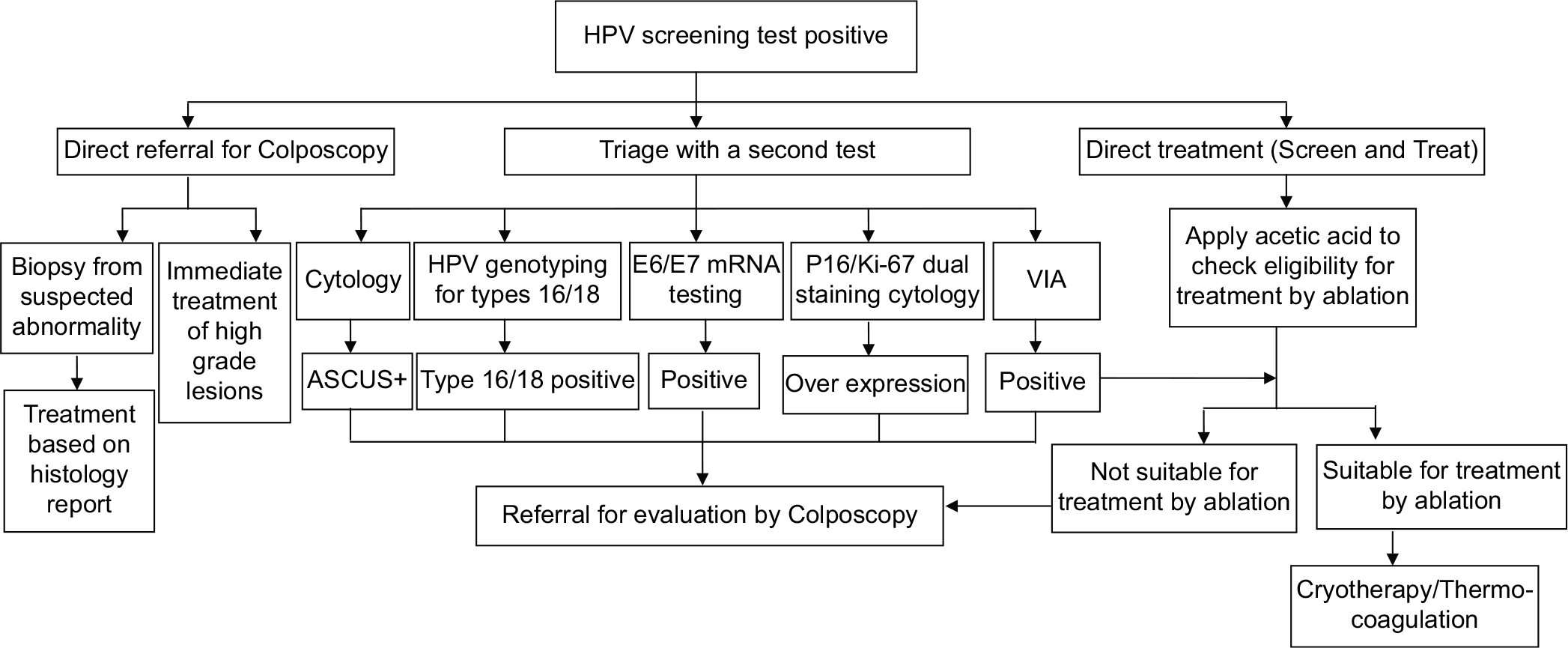 Flowchart on management of women positive on HPV test.