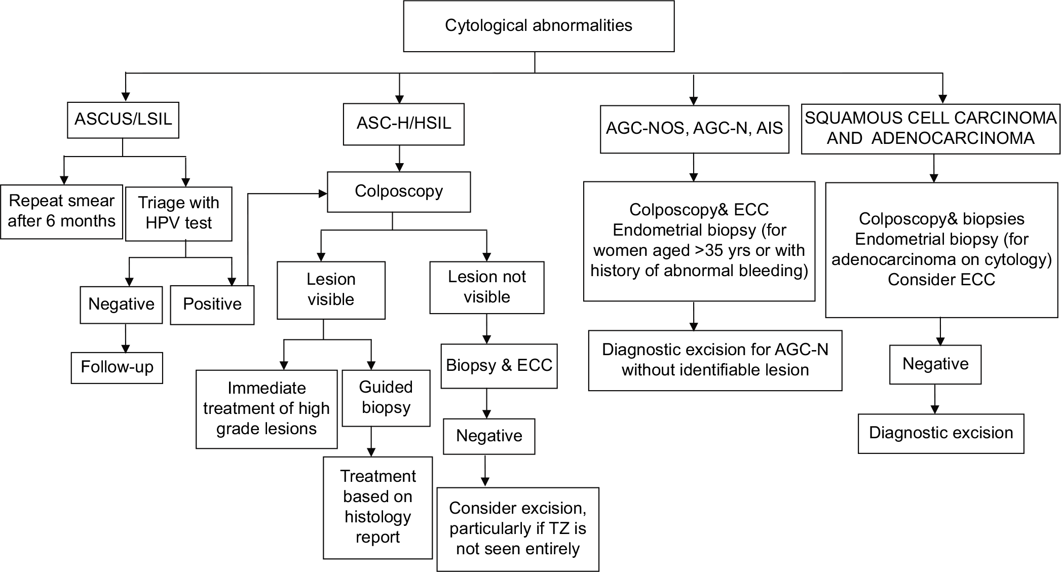 Flowchart on management of women with cytological abnormalities.