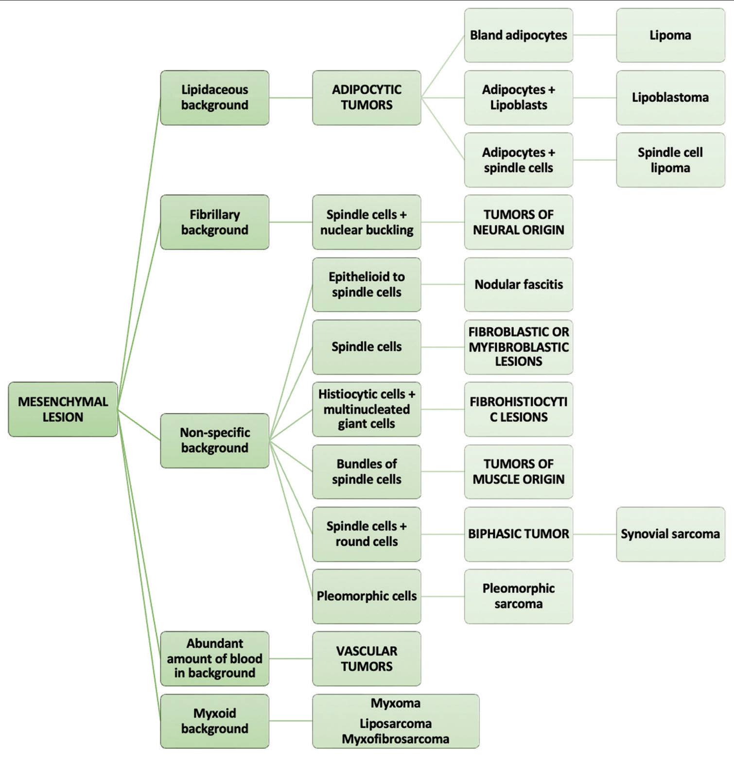 The algorithmic approach to cytomorphological diagnosis of mesenchymal lesions.