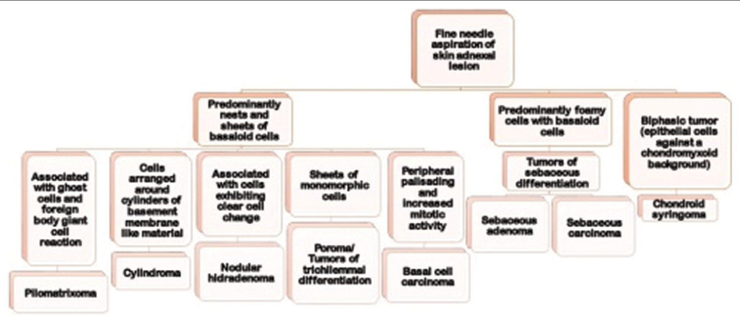 Algorithmic approach for cytological diagnosis of skin adnexal tumors.