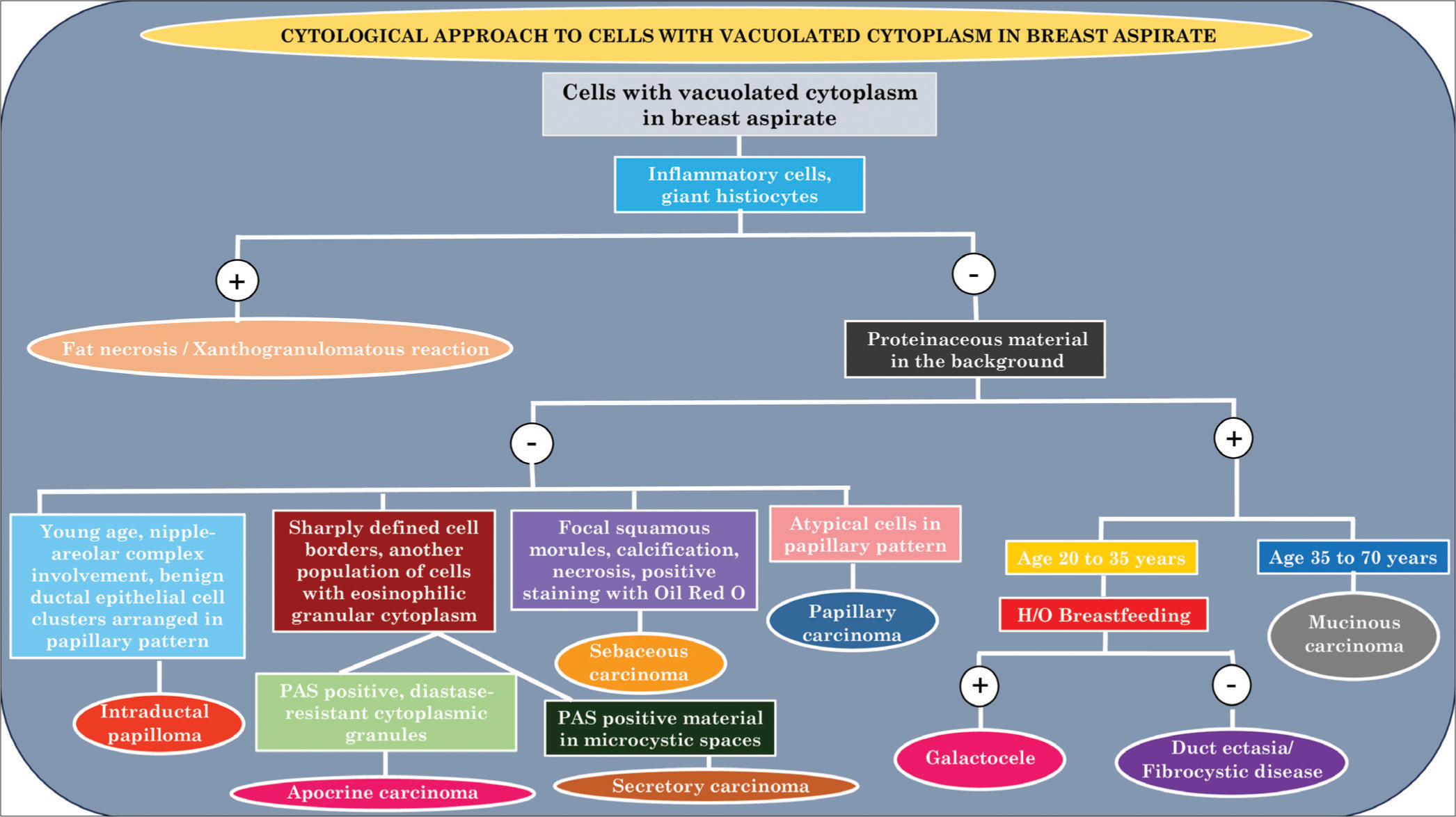 Algorithm for the cytological approach to cells with vacuolated cytoplasm in breast aspirate. (PAS: periodic acid-schiff, H/O: History of.) Algorithm plotted using Microsoft PowerPoint [Microsoft Office Standard 2016, Version 16.0; Manufacturer: Microsoft Corporation, Origin: Silicon Valley, CA, USA]