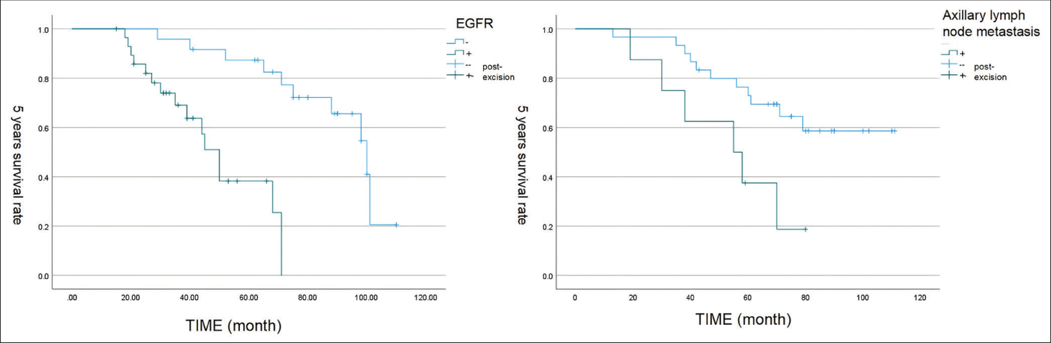 The survival curve of epidermal growth factor receptor and axillary lymph node metastasis. (EGFR: Epidermal growth factor receptor)