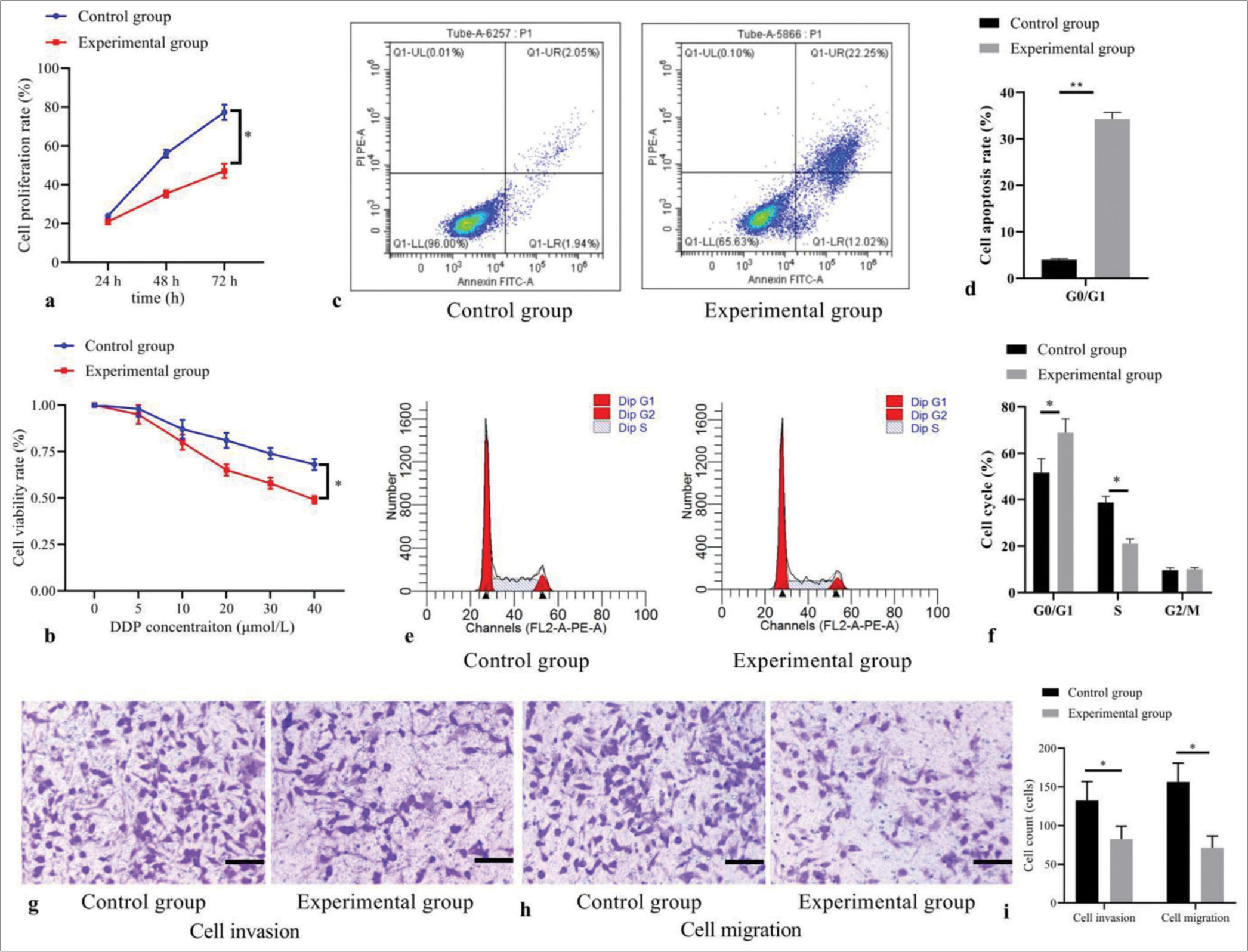 Effect of 5-Aza-2’-deoxycytidine demethylation on the biological behaviors of T-cell acute lymphoblastic leukemia cells. (a) Cell proliferation by CCK-8; (b) cell viability by MTT; (c) cell apoptosis by flow cytometry; (d) statistical analysis of cell apoptosis; (e) cell cycle distribution by flow cytometry; (f) statistical analysis of cell distribution; (g) cell invasion by transwell assay (stain, methyl violet; scale bars, 100 μm); (h) cell migration by transwell assay (stain, methyl violet; scale bars, 100 μm); and (i) statistical analysis of cell invasion and migration. (*P < 0.05, **P < 0.001). (n = 3). (DDP: Cisplatin; CCK-8: Cell Counting Kit-8; MTT: Methyl-thiazole-tetrazolium.)