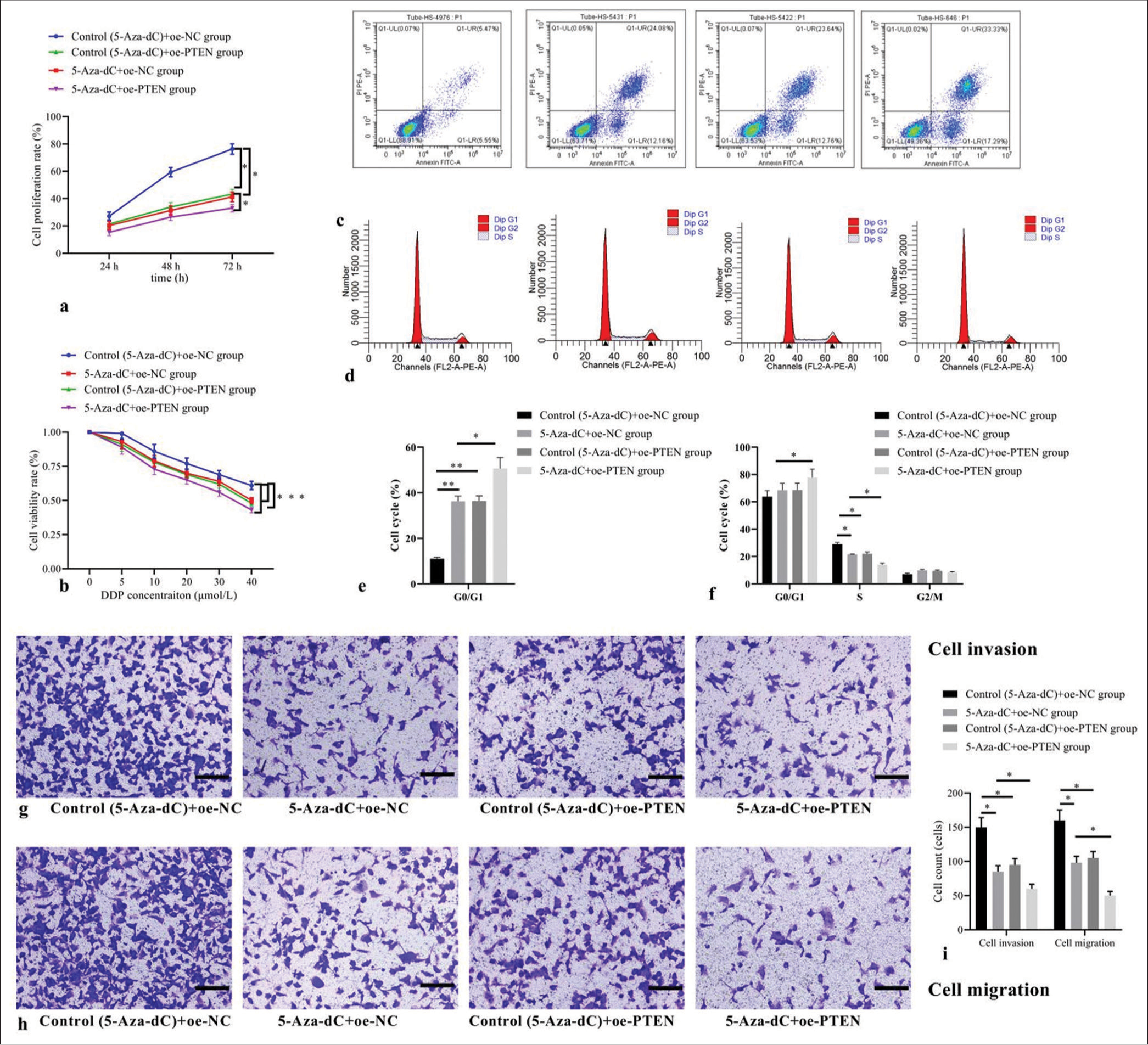 Effect of PTEN expression restoration on cellular biological behaviors and expression levels. (a) Cell proliferation by CCK-8; (b) cell viability by MTT; (c) cell apoptosis by flow cytometry; (d) cell cycle distribution by flow cytometry; (e) statistical analysis of cell apoptosis; (f) statistical analysis of cell distribution; (g) cell invasion by transwell assay (stain, methyl violet; scale bars, 100 μm); (h) cell migration by transwell assay (stain, methyl violet; scale bars, 100 μm); and (i) statistical analysis of cell invasion and migration. (n = 3). (*P < 0.05, **P < 0.001). (DDP: Cisplatin; Cell Counting Kit-8; MTT: Methyl-thiazole-tetrazolium; PTEN: Phosphatase and tensin homolog deleted on chromosome ten; NC: negative control.)