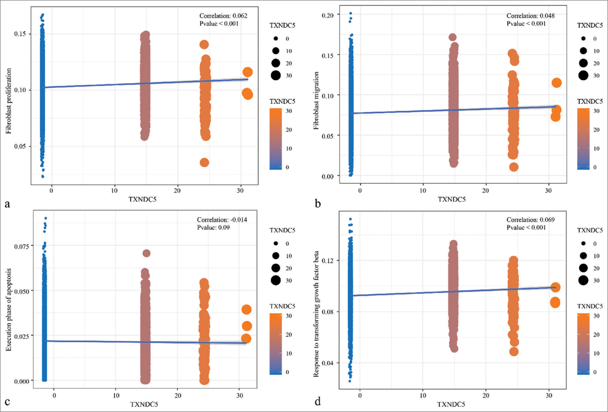 Correlation analysis between thioredoxin domain-containing protein 5 gene expression levels and pathways. (a) Correlation analysis of thioredoxin domain-containing protein 5 gene expression levels with AUCell score of genes in the fibroblast proliferation. (b) Correlation analysis of thioredoxin domain-containing protein 5 gene expression levels with AUCell score of genes in the fibroblast migration. (c) Correlation analysis of thioredoxin domain-containing protein 5 gene expression levels with AUCell score of genes in the execution phase of apoptosis. (d) Correlation analysis of thioredoxin domain-containing protein 5 gene expression levels with AUCell score of genes in the response to transforming growth factor-beta signaling pathways.