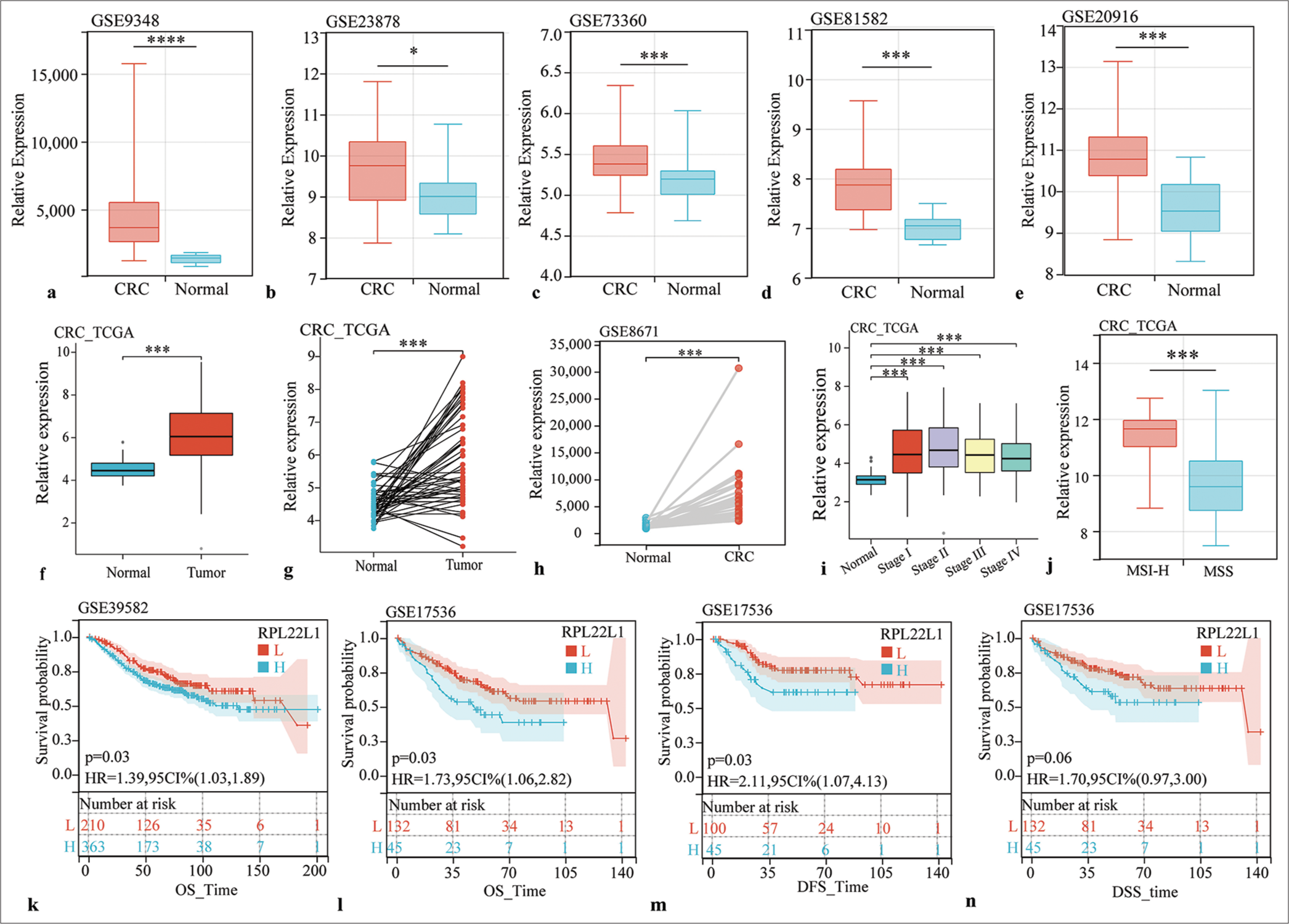 RPL22L1 expression and its prognostic significance in multiple datasets. (a-f) Unpaired sample analysis of RPL22L1 expression in CRC datasets of GSE9348 (a), GSE23878 (b), GSE73360 (c), GSE81582 (d), GSE20916 (e), and TCGA (f). (g and h) Paired sample analysis of RPL22L1 expression in TCGA and GSE8671 cohorts. (i) Expression of RPL22L1 in different pathological stages. (j) Effects of MSI on RPL22L1 expression. (k-n) Prognostic significance of RPL22L1 expression in GSE39582 and GSE17536. (*P < 0.05, ***P < 0.001, ****P < 0.0001. CRC: Colorectal cancer, TCGA: The cancer genome atlas, RPL22L1: Ribosomal Protein L22 Like 1, MSI: Microsatellite instability, MSS: Microsatellite stable, OS: Overall survival, DFS: Disease-free survival, DSS: Disease-specific survival, L: Low RPL22L1 expression, H: High RPL22L1 expression, HR: Hazard ratio, CI: Confidence interval, MSI-H: microsatellite instability-high.)