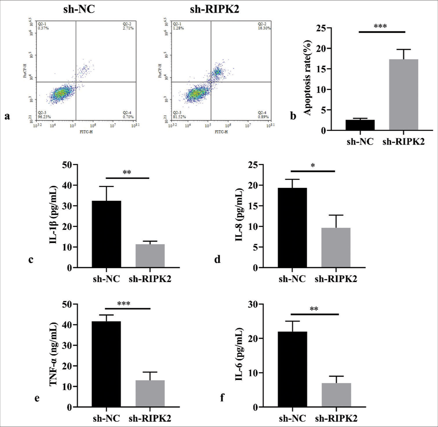 RIPK2 silencing promotes apoptosis and suppresses the inflammatory response of RA-FLS. (a and b) Effects of RIPK2 on apoptosis analyzed by flow cytometry (n = 3). (c-f) ELISA analysis of inflammatory factors following RIPK2 suppression (n = 3). (*P < 0.05, **P < 0.01, ***P < 0.001. IL-6: Interleukin-6, TNF-α: Tumor necrosis factor-α, RIPK2: Receptor interacting serine/threonine kinase 2, NC: Negative control, RA-FLS: Rheumatoid arthritis-fibroblast-like synoviocytes, ELISA: Enzyme-linked immunosorbent assay.).