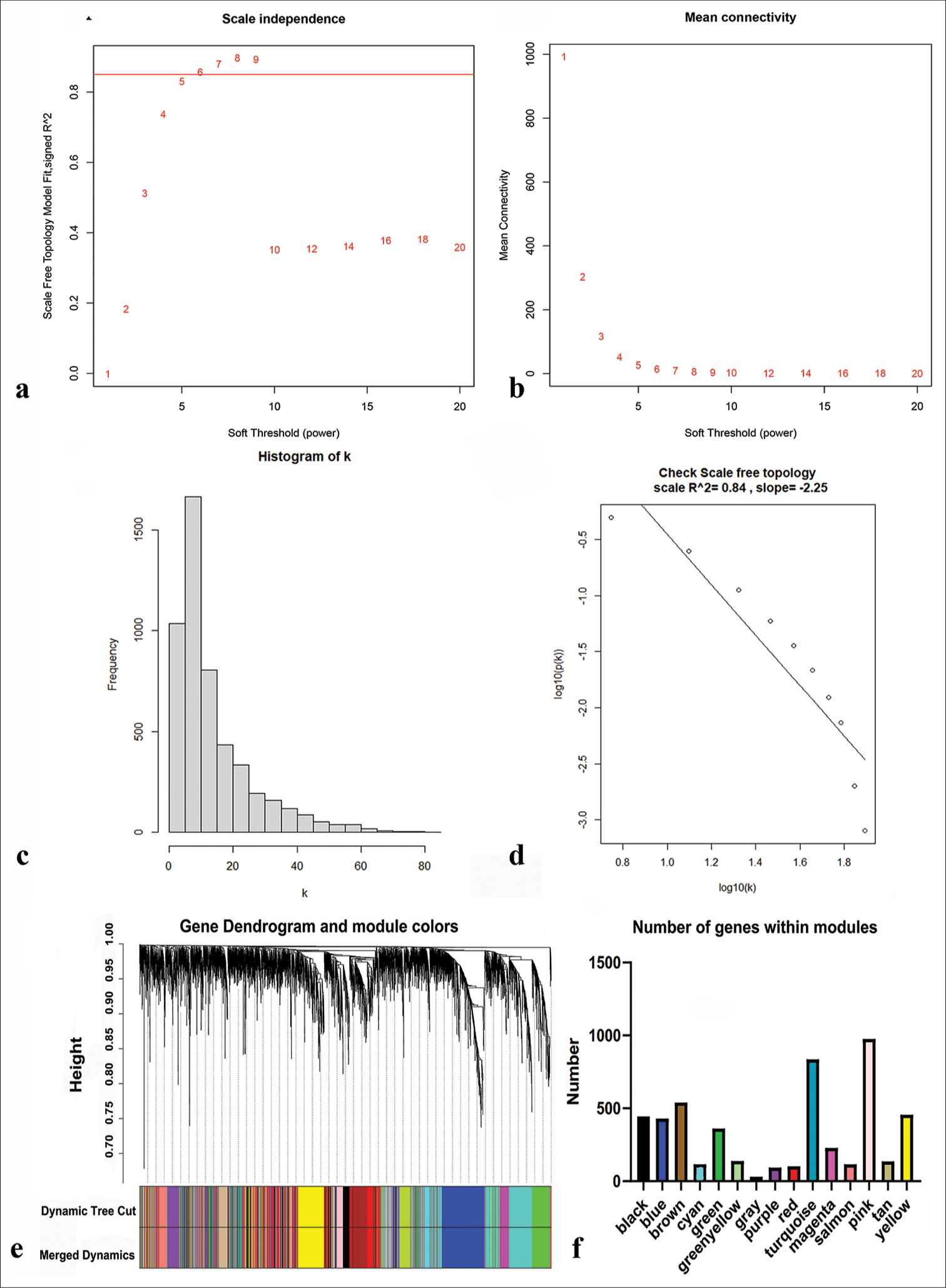 Network construction and modules identification. (a) Determination of the soft-threshold powers (β). (b) The mean connectivity for various soft-threshold powers. (c and d) Verification of scale-free topology when β = 6. (e) Dynamic tree cut and merged dynamic color plot. (f) Number of genes in each module.