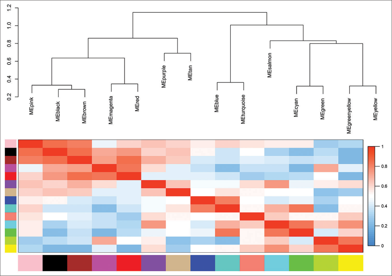 Eigengene dendrogram and eigengene adjacency plot. ME: Module eigengene.