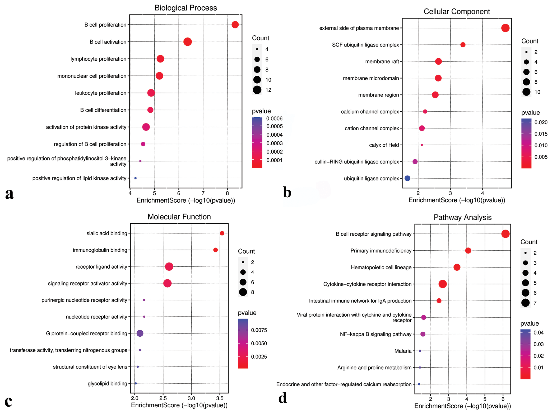 Functional analysis of the green-yellow module. (a) Biological processes. (b) Cellular components. (c) Molecular functions. (d) Kyoto encyclopedia of genes and genomes pathways. SCF: Skp1-cullin 1-F-box, NF: Nuclear factor.