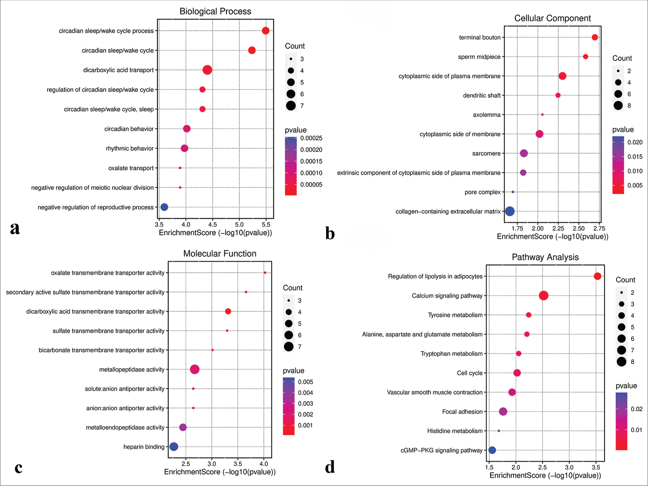 Functional analysis of the magenta module. (a) Biological processes. (b) Cellular components. (c) Molecular functions. (d) Kyoto encyclopedia of genes and genomes pathways. GMP: Guanosine monophosphate, PKG: Protein kinase G.