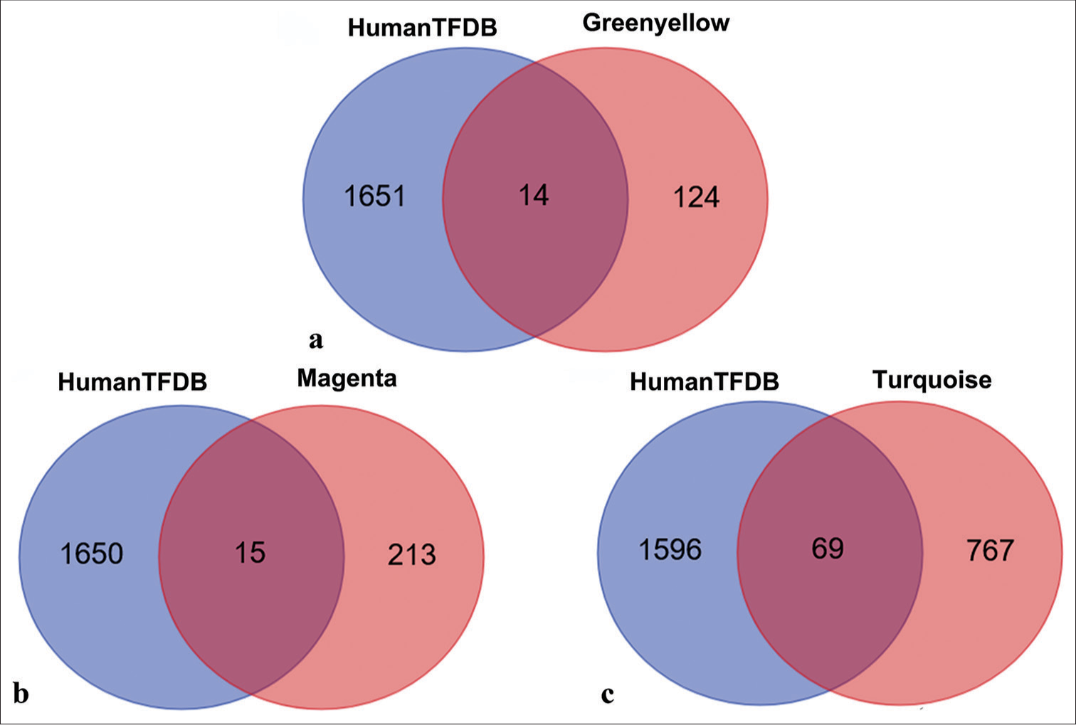 Venn diagram of overlapping transcription factors between three modules and human transcription factor database (HumanTFDB). (a) Overlapping transcription factors shared between HumanTFDB and the green-yellow module. (b) Overlapping transcription factors shared between HumanTFDB and the magenta module. (c) Overlapping transcription factors shared between HumanTFDB and the turquoise module.