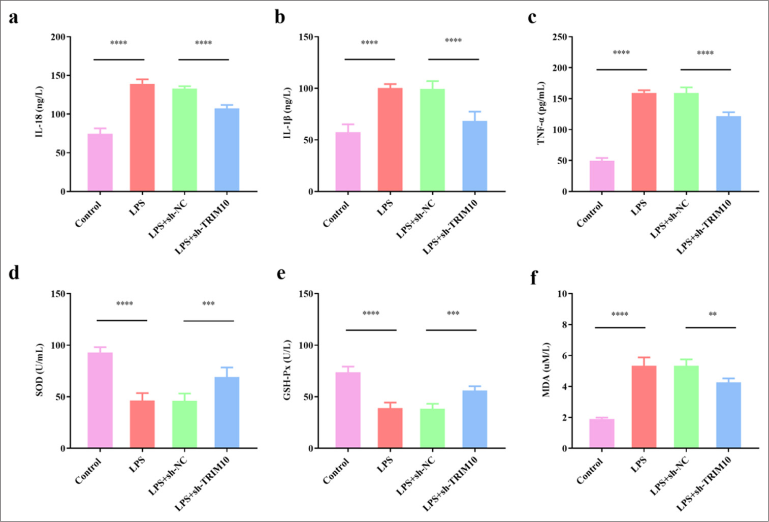 Knockdown of TRIM10 regulates oxidative stress and inflammatory response in rats with SCM. (a) IL-18 content. (b) IL-1β content. (c) TNF-α content. (d) SOD content. (e) GSH-Px content. (f) MDA content. ✶✶P<0.01, ✶✶✶P<0.001, ✶✶✶✶P<0.0001, n=5. IL-18: Interleukin-18, IL-1β: Interleukin-1 β, TNF-α: Tumor necrosis factor-α, SOD: Superoxide dismutase, GSH-Px: Glutathione peroxidase, MDA: Malondialdehyde, TRIM10: Tripartite motif 10, LPS: Lipopolysaccharide, sh-NC: short hairpin-negative control.