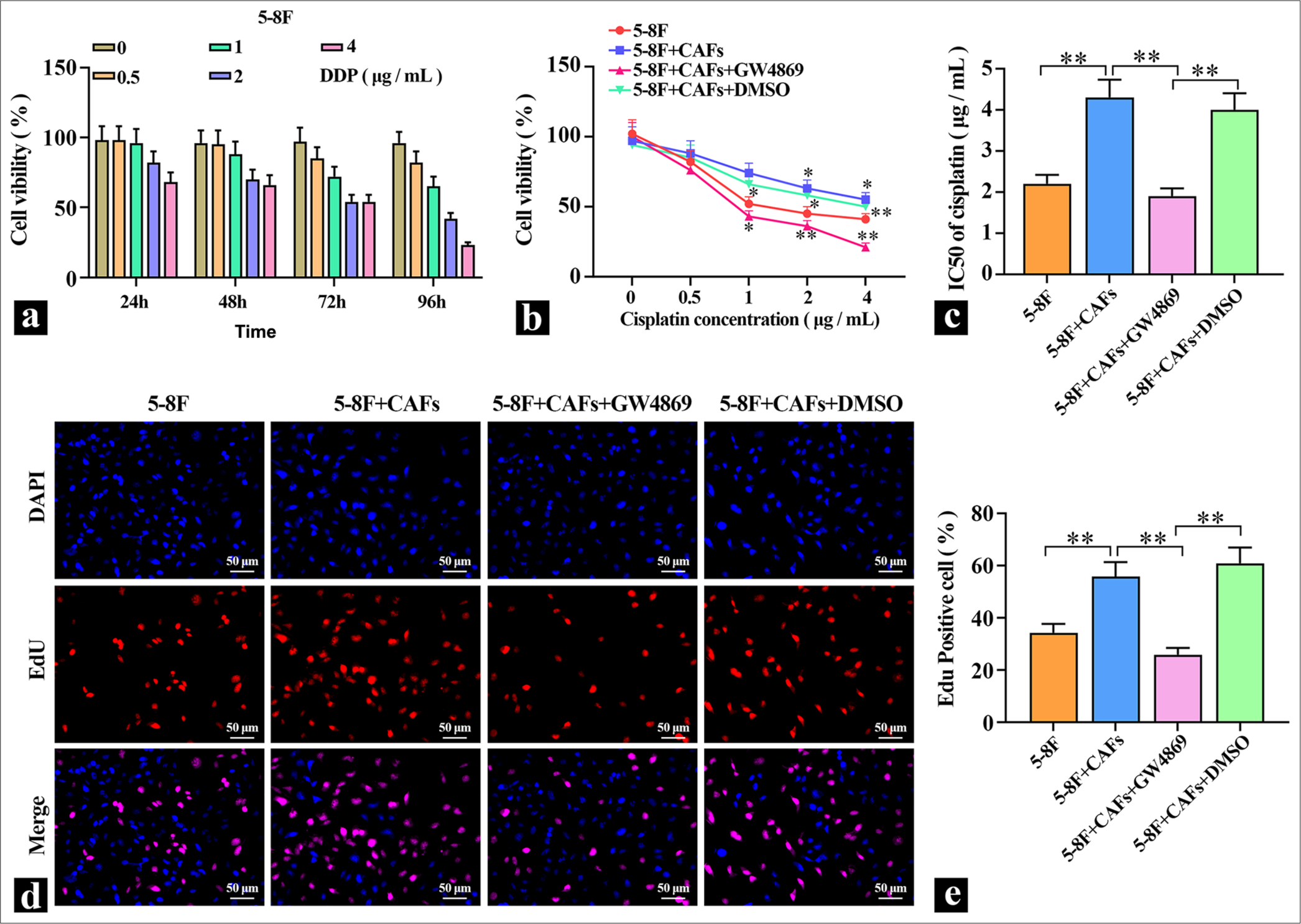 Promoting effect of CAFs cells on 5-8F cells. (a) MTT was used to detect the inhibitory effect of DDP on the viability of 5-8F cells (n=3). (b and c) MTT was used to detect the effect of exosome inhibitors on the DDP inhibition of 5-8F cell viability, and IC50 was calculated (n=3). (d and e) Representative images of the effects of exosome inhibitors on the proliferation of CAFS cells cocultured with 5-8F cells. ✶P<0.05, ✶✶P<0.01. CAFs: Cancer-associated fibroblasts, MTT: Methylthiazolyldiphenyl-tetrazolium, DDP: Cisplatin-diamminedichloroplatinum.