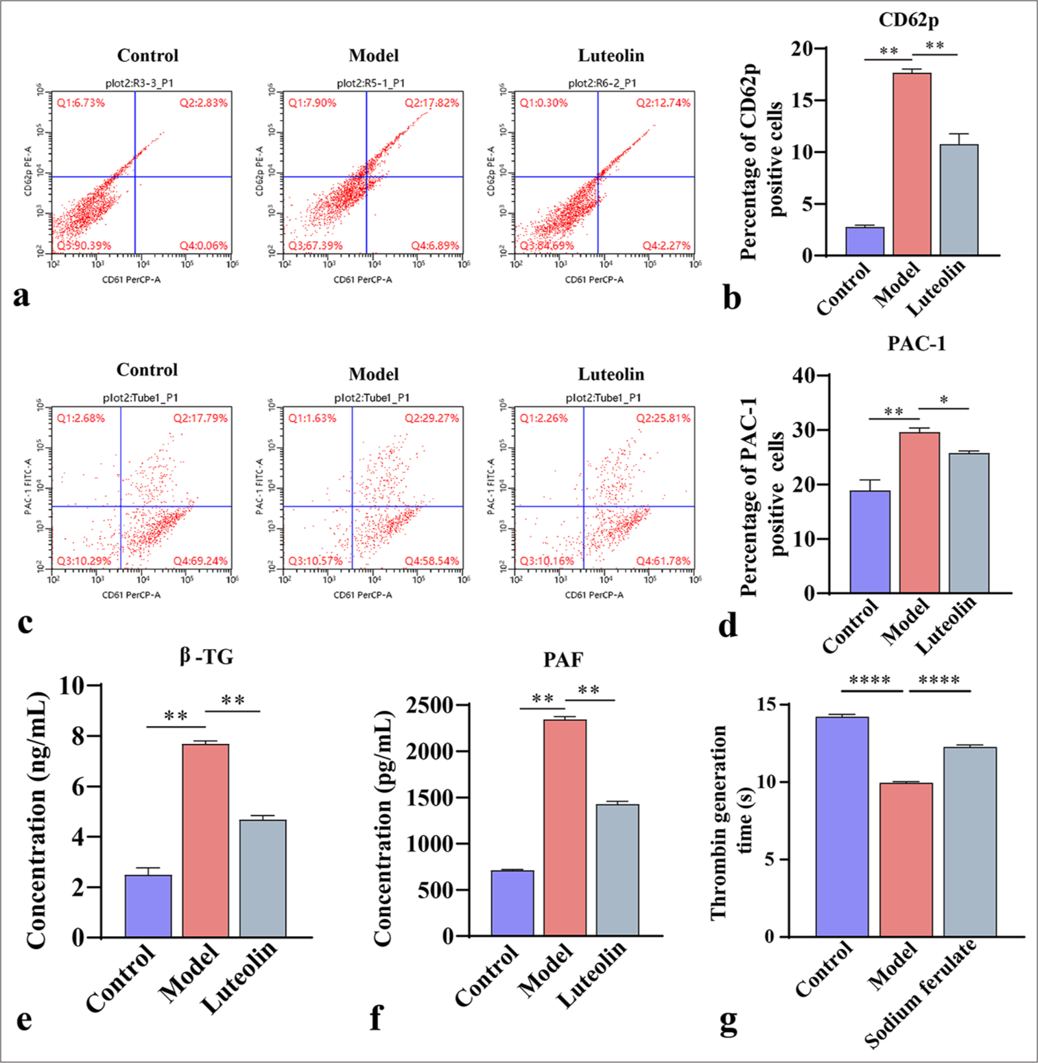 Platelet activation assessment. (a and b) CD62p, a biomarker of platelet activation, and its percentage of positive cells by flow cytometry; (c and d) PAC-1 B, a biomarker of platelet activation, and its percentage of positive cells by flow cytometry; (e and f) Enzyme-linked immunosorbent assay for β-TG and PAF concentrations in mouse serum; (g) Platelet thrombin generation time was measured by thrombin generation assay. Data of three independent experiments are presented as mean ± SD and subjected to ordinary one-way ANOVA (“✶” indicates a statistically significant difference at P < 0.05, “✶✶” indicates a statistically significant difference at P < 0.01, and “✶✶✶✶” indicates extremely significant difference at P < 0.0001. CD62P: Platelet-selectin, β-TG: β-Trace protein, PAC-1: Procaspase-activating compound-1, PAF: Platelet-activating factor, ANOVA: Analysis of variance, SD: Standard deviation).