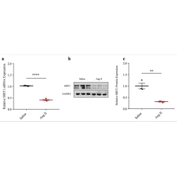 Article figure