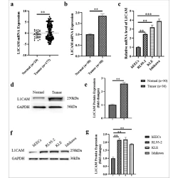 Article figure