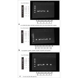 Article figure