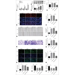 Article figure