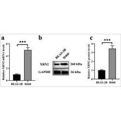 Article figure