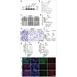 Article figure