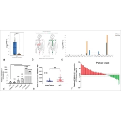 Article figure