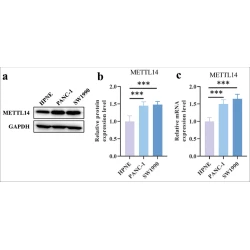 Article figure