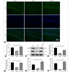 Article figure