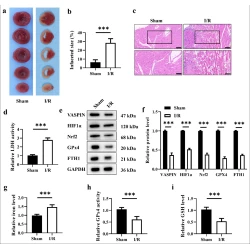 Article figure