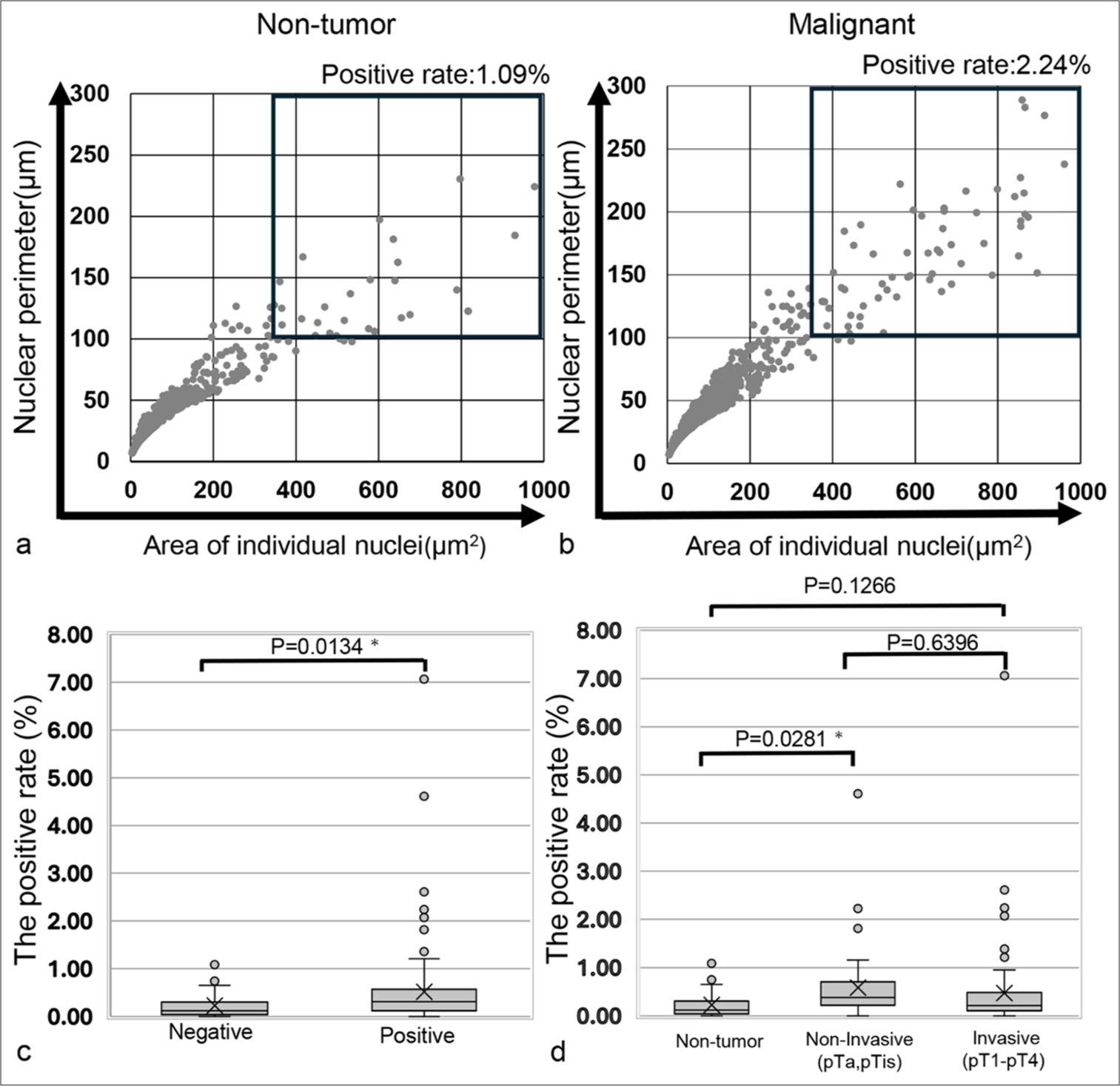 Scatter plot representing the nuclear area and perimeter of the cells, along with a comparison of the positive rates for high nuclear area and perimeter in the total cell nuclei. (a) Scatter plot for a cytology-negative case (Case 43). (b) Scatter plot for a cytology-positive case (Case 190). (c) Comparison of the positive rates of high nuclear area and perimeter in total cell nuclei between cytology-negative and cytology-positive cases. (d) Comparison of the positive rates of high nuclear area and perimeter in total cell nuclei across cytology-negative cases, invasion-negative tumor cases, and invasion-positive tumor cases. The “X” marks the mean values in the box plot, while boxes with horizontal lines represent the medians with interquartile ranges. Error bars indicate maximum and minimum values, and circles represent outliers. P-values were determined using Dunnett’s analysis and the Tukey–Kramer test. ✶P < 0.05. Thus, the largest nuclear area/cellular area in b) is 9.22%, and the one in d) is 36.71%.