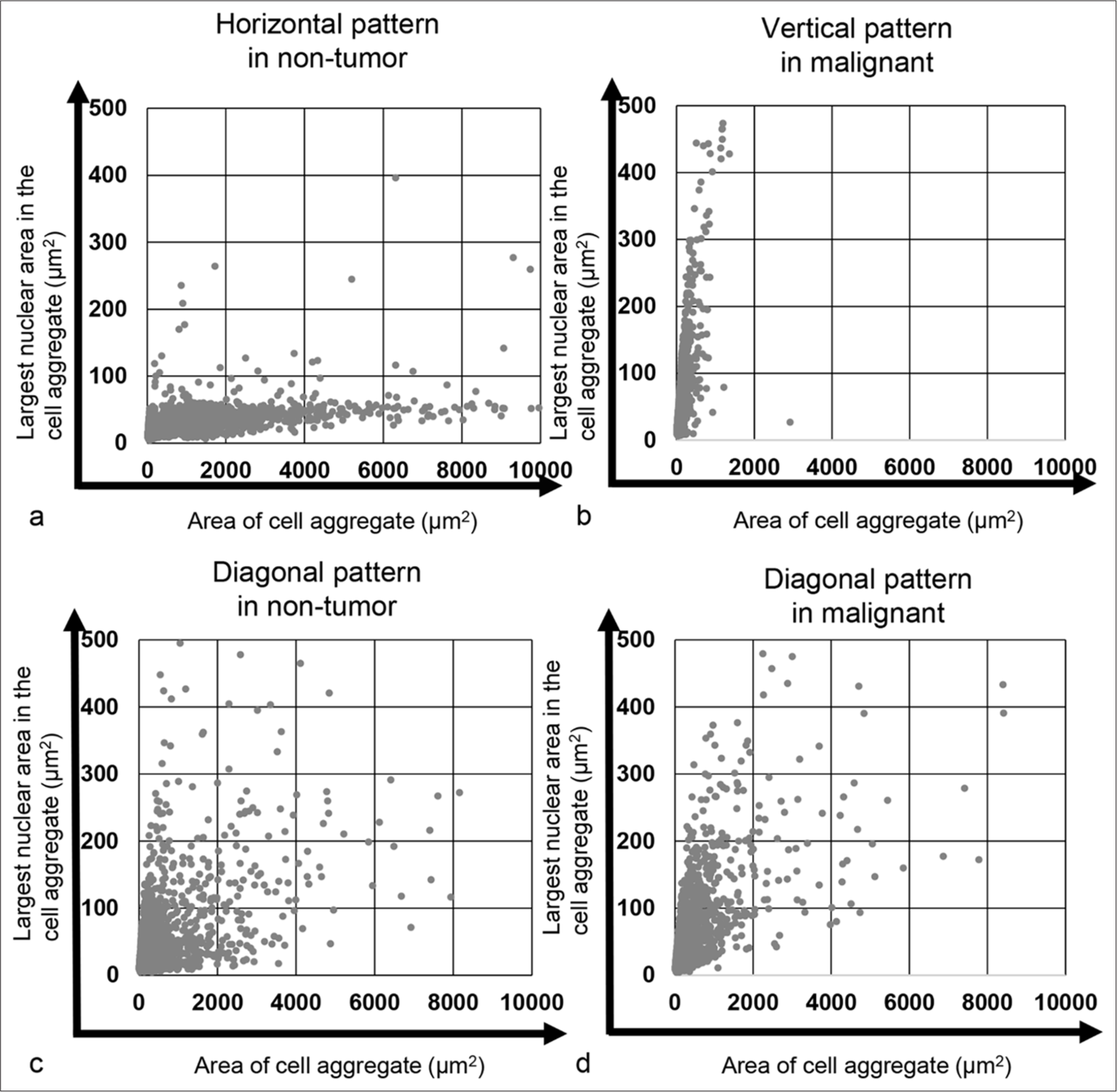 Plot of the cell and cell aggregate areas alongside the largest nuclear area within the cell/cell aggregate. (a) Horizontal pattern observed in the cytology-negative case (Case 34) and (b) vertical pattern observed in the cytology-positive case (Case 190). (c) Diagonal pattern in the cytology-negative case (Case 1) and (d) diagonal pattern in the cytology-positive case (Case 181).