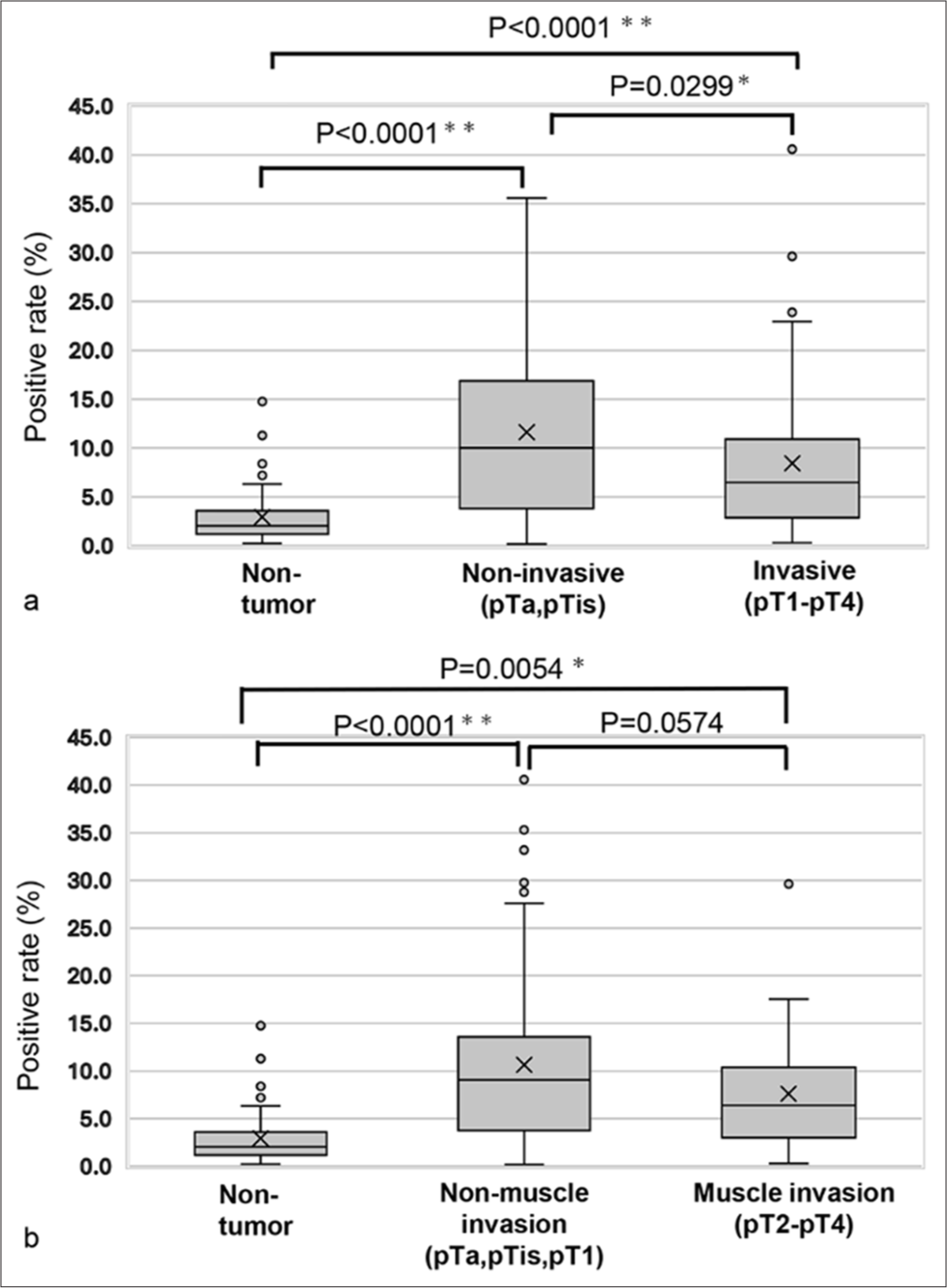 Comparison of the positive rates for the largest nuclear area within a high cell/cell aggregate-distributed area. (a) Comparison among non-tumor, non-invasive, and invasive tumor cases. (b) Comparison between non-tumor cases, non-muscle-invasive tumor cases, and muscle-invasive tumor cases. “X” marks the mean values in the box plot, while boxes with horizontal lines indicate the medians with interquartile ranges. Error bars represent the maximum and minimum values, and circles denote outliers. P-values were calculated using the Tukey–Kramer test. ✶P < 0.05 and ✶✶P < 0.0001.